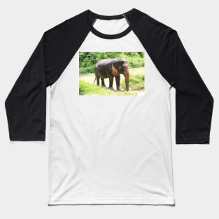 Asian elephant in Phuket, Thailand Baseball T-Shirt
